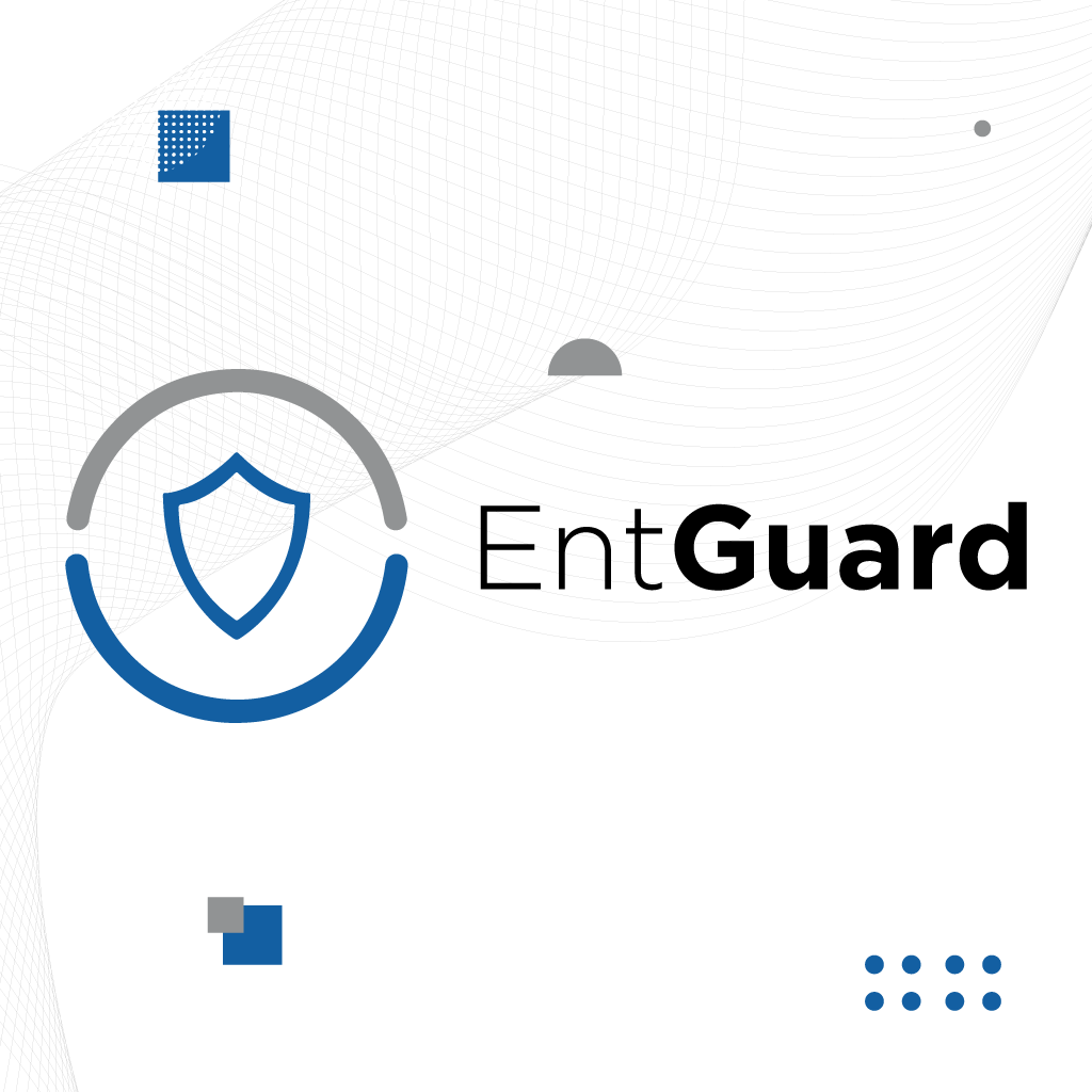 Connect securely with VPN EntGuard| HRON
